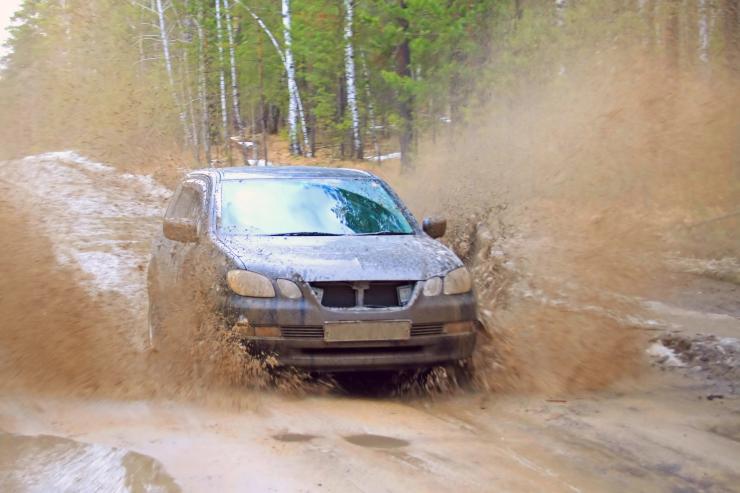 auto sporca regole stradali