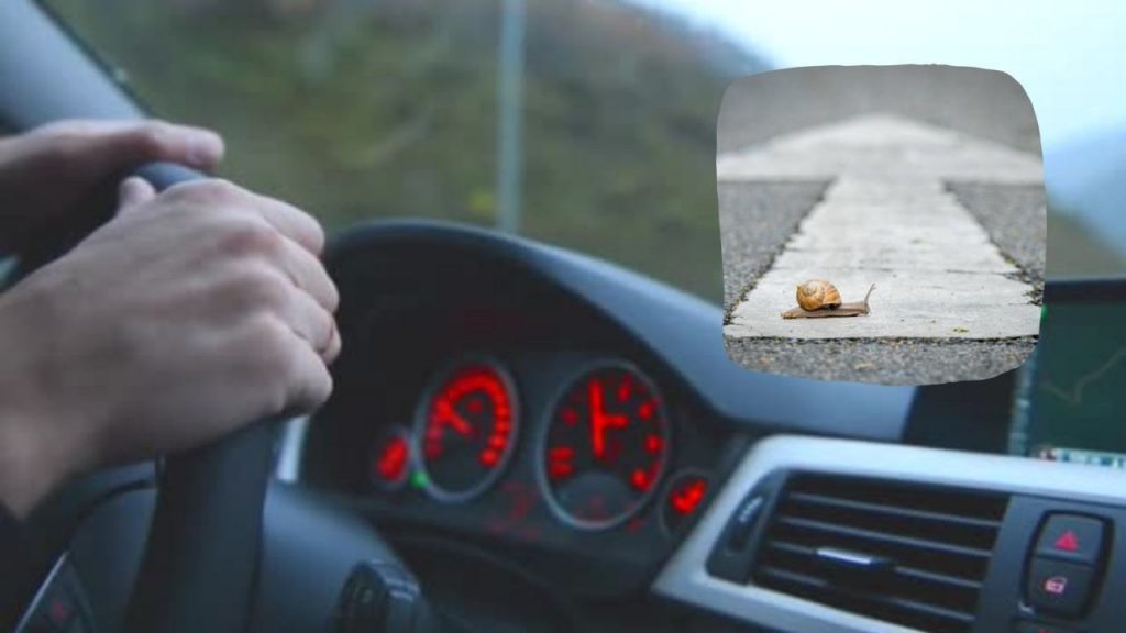 Auto lenta