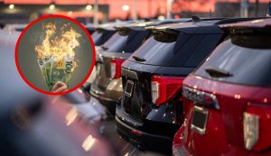 Suv