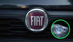 Fiat nuova
