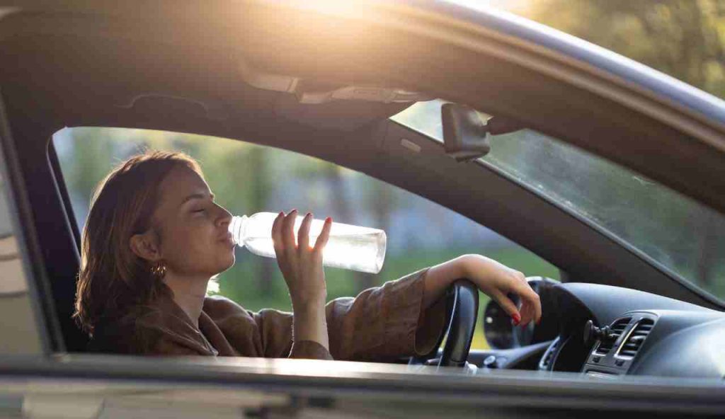 Bere acqua auto