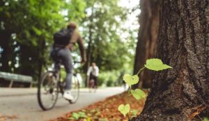 Mobilità sostenibile