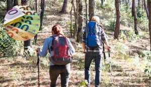 Salasso per una scampagnata